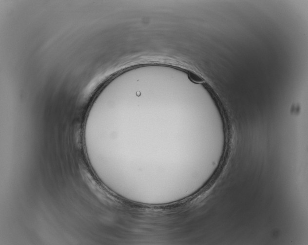X0000112431499200908281849