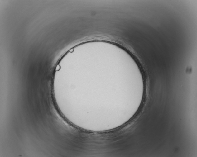 X0000112431500200908281849