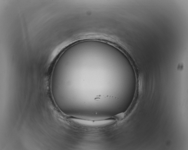X0000112431501200908281850