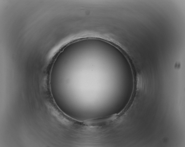 X0000112431502200908281850