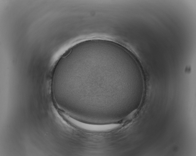 X0000112431504200908281850