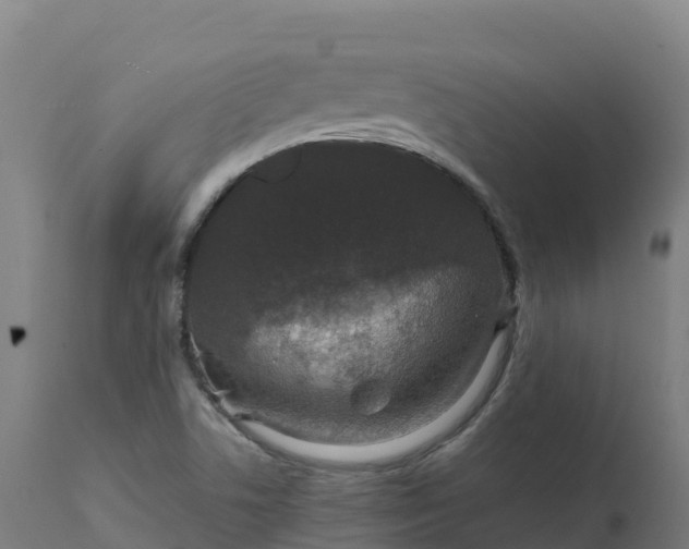 X0000112431506200908281850
