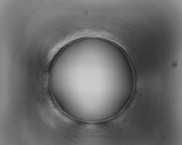 X0000112431507200908281850