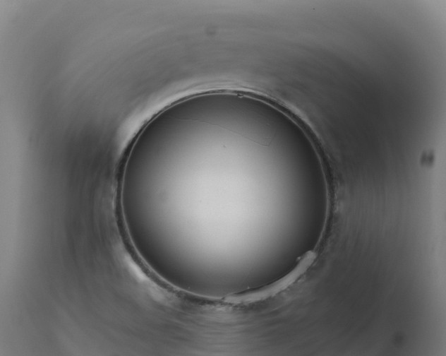 X0000112431508200908281850