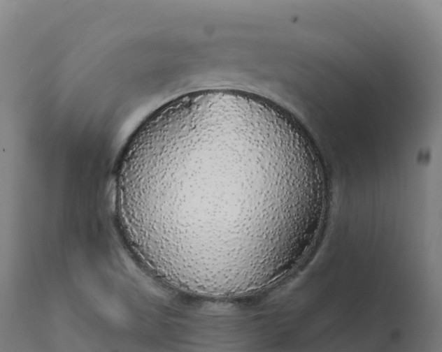 X0000112431509200908281850