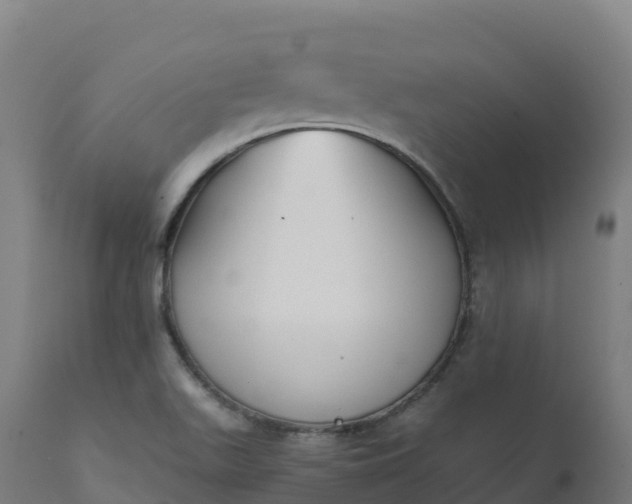 X0000112431511200908281850