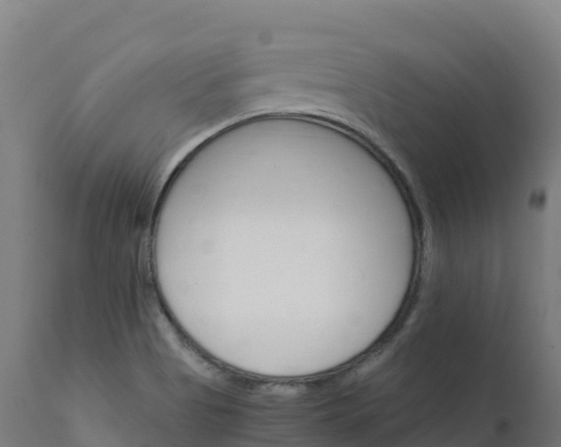 X0000112431513200908281850