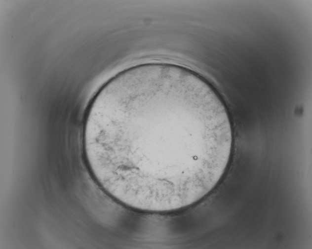 X0000112431514200908281850