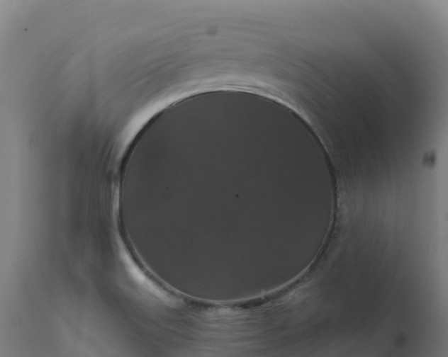 X0000112431515200908281850