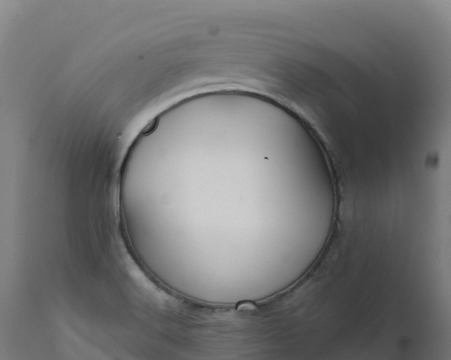 X0000112431516200908281850