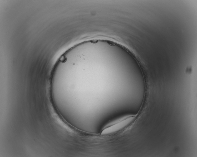 X0000112431518200908281850