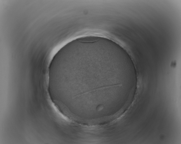X0000112431520200908281850