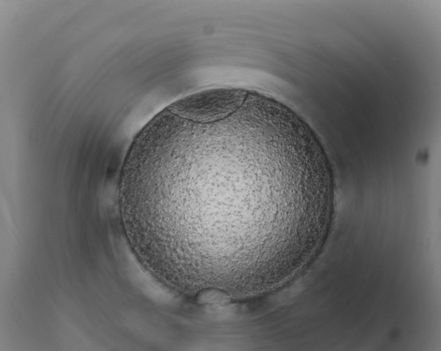 X0000112431521200908281850