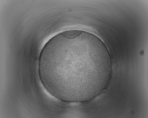 X0000112431523200908281850