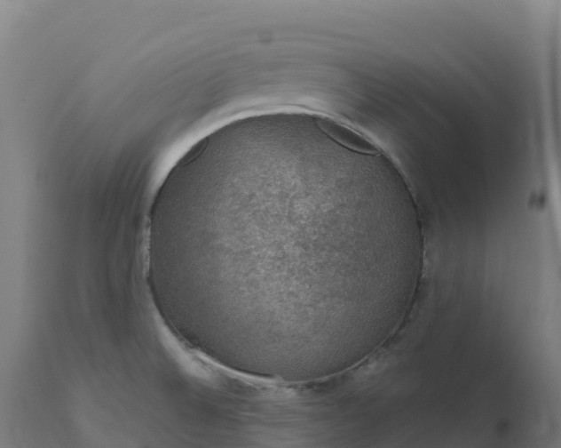 X0000112431524200908281850