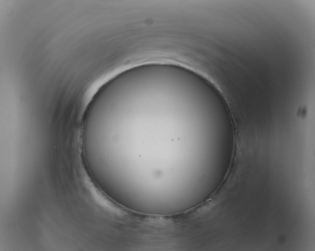 X0000112431526200908281850