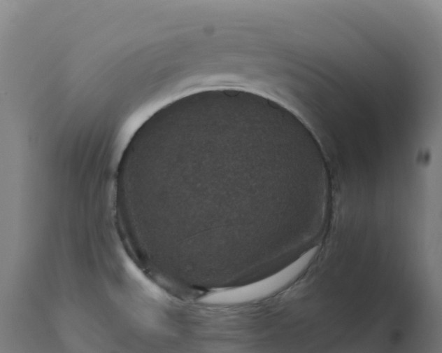 X0000112431527200908281850