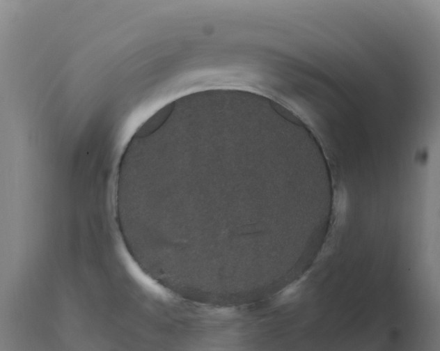 X0000112431528200908281850