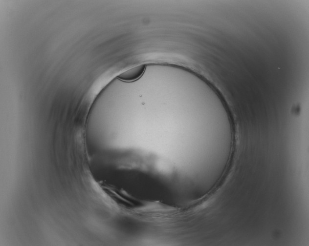 X0000112431529200908281850