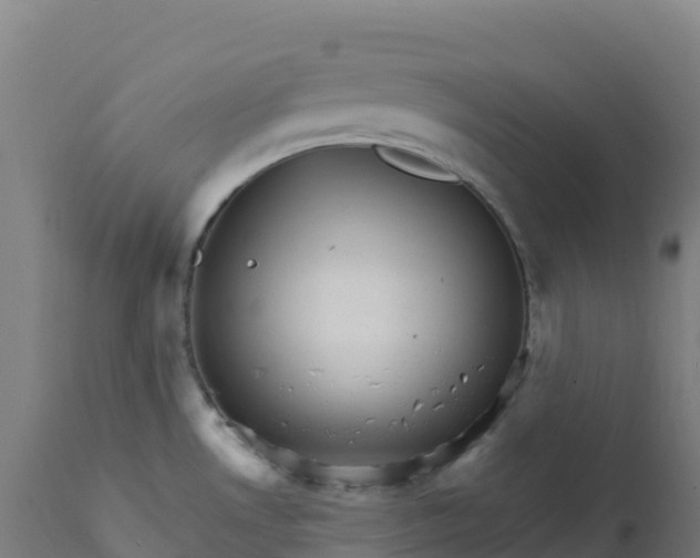 X0000112431530200908281850