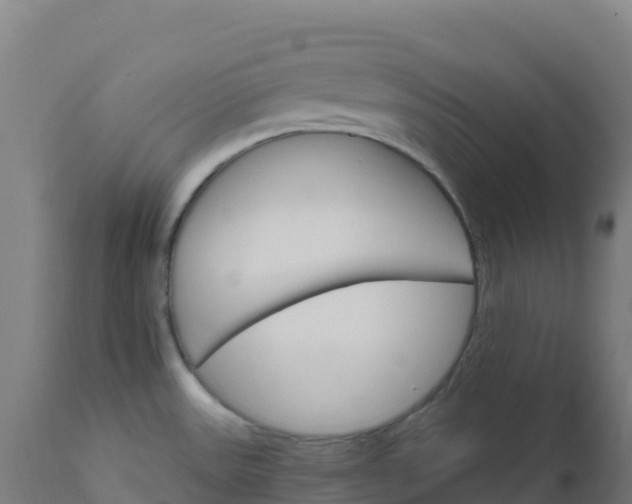 X0000112431531200908281850