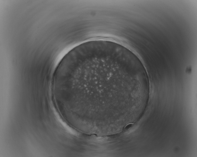 X0000112431533200908281850