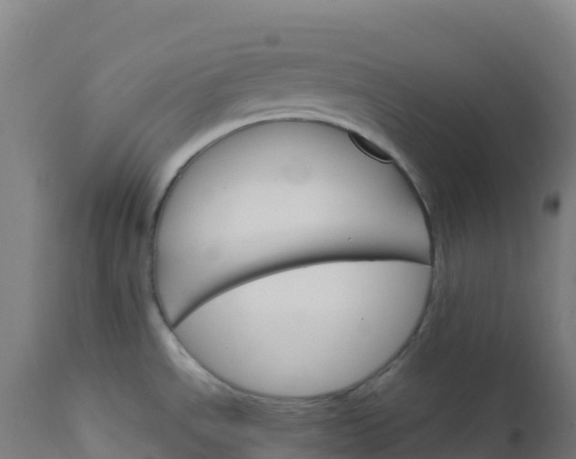 X0000112431534200908281850