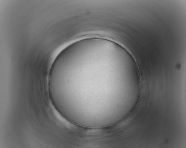X0000112431535200908281850