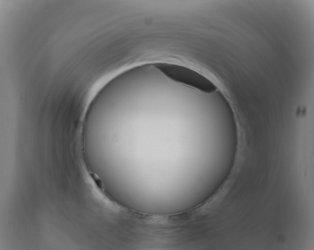 X0000112431536200908281850