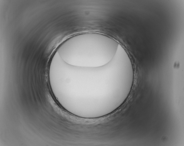 X0000112430002200909041447