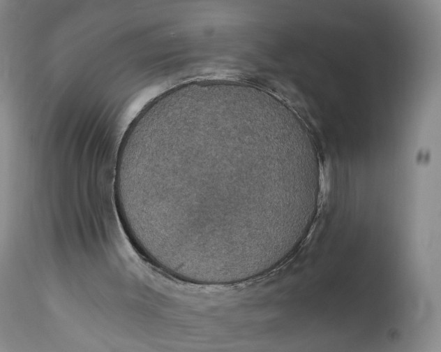 X0000112430003200909041447