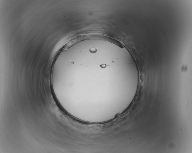 X0000112430004200909041447