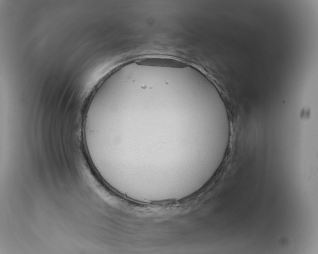 X0000112430005200909041447