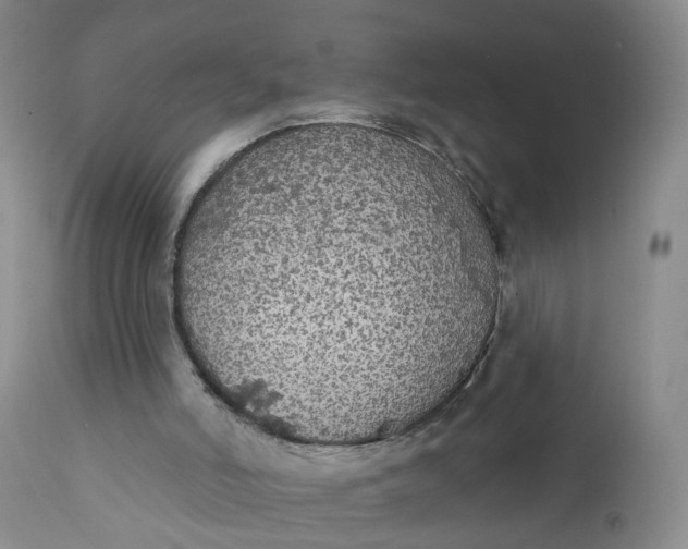 X0000112430006200909041447