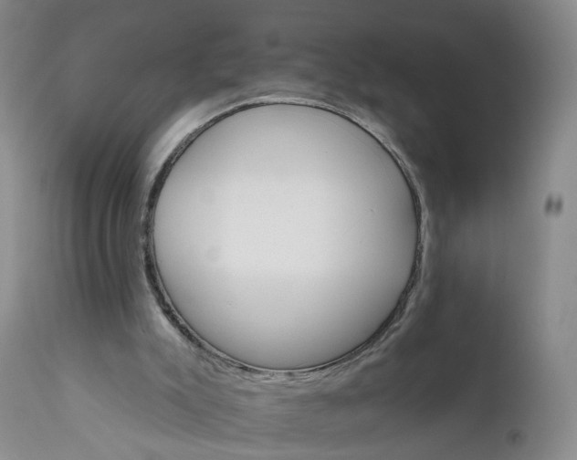 X0000112430007200909041447