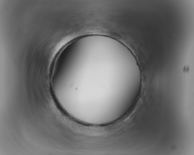 X0000112430008200909041447