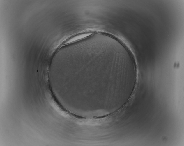 X0000112430009200909041447