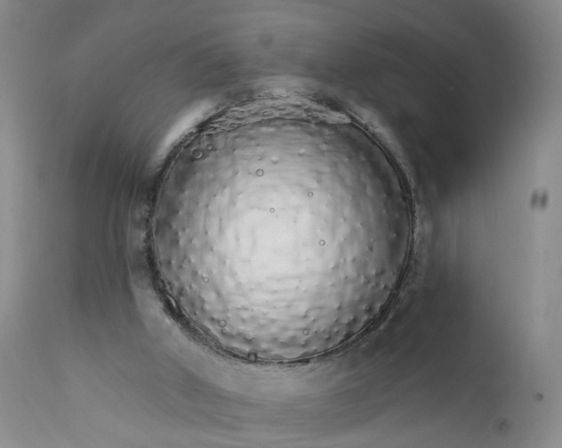 X0000112430010200909041447