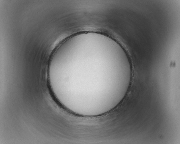 X0000112430011200909041447