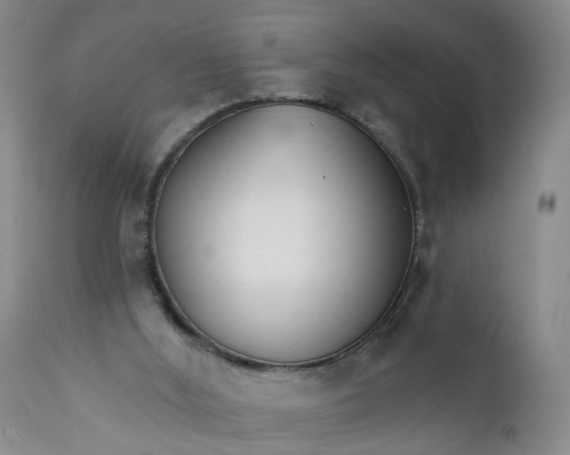 X0000112430012200909041447