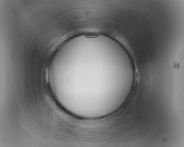 X0000112430013200909041447