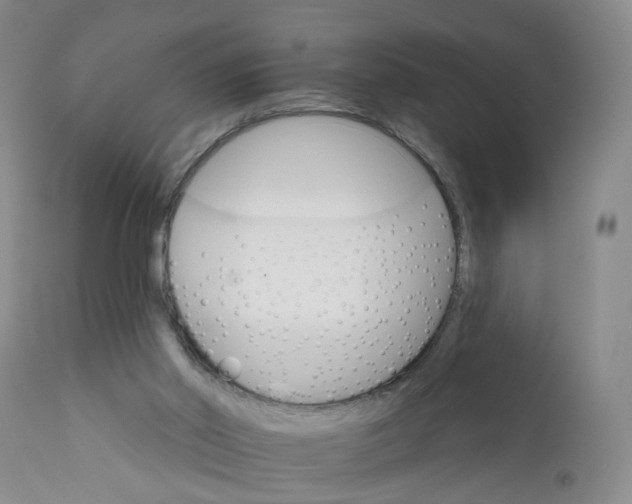 X0000112430014200909041447