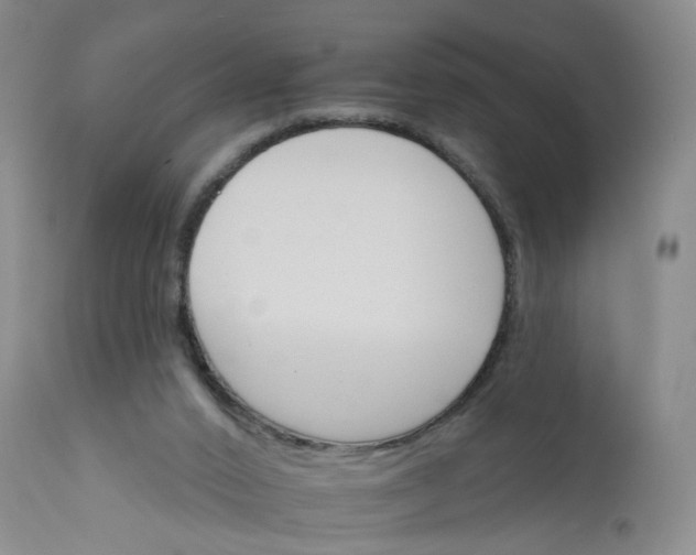 X0000112430016200909041447