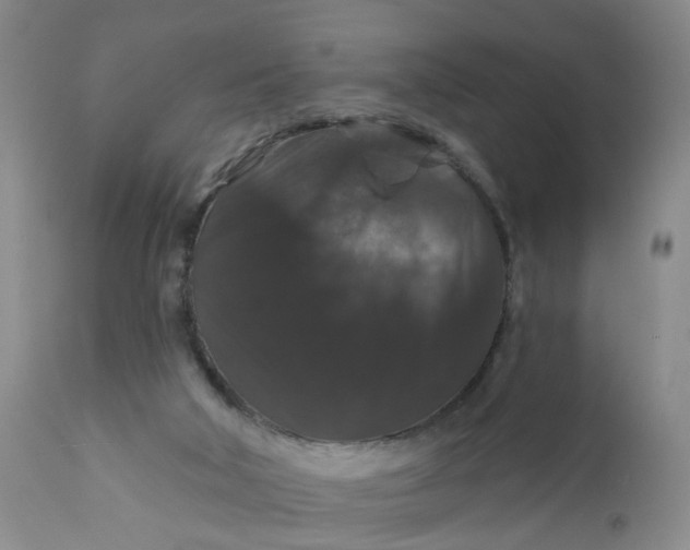 X0000112430018200909041447