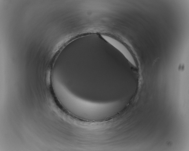 X0000112430019200909041447