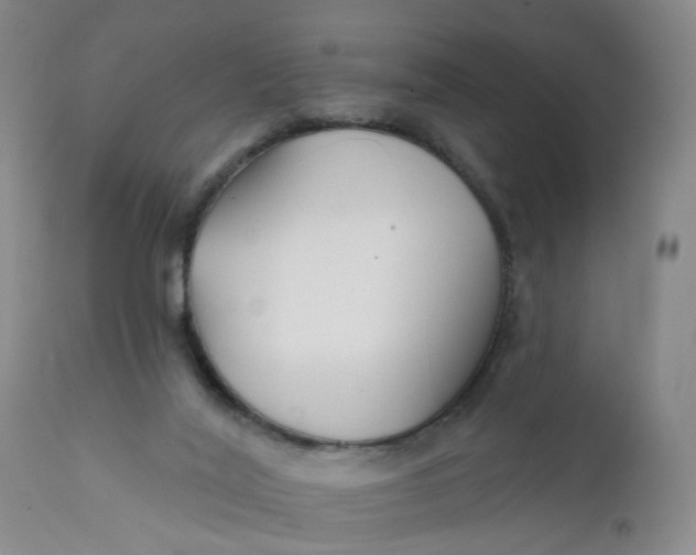 X0000112430020200909041447
