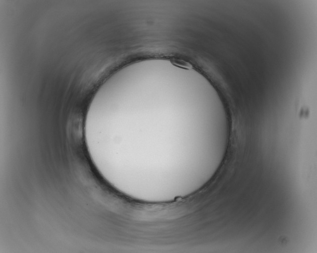 X0000112430021200909041447