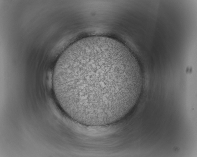 X0000112430022200909041447