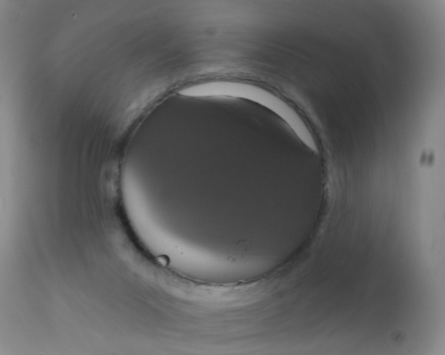X0000112430023200909041447
