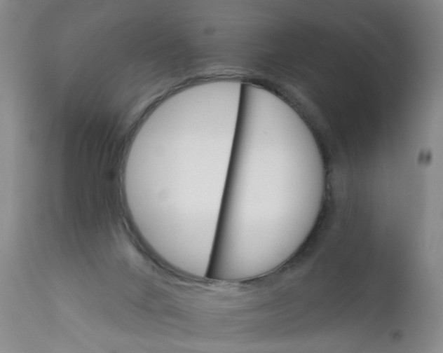 X0000112430024200909041447